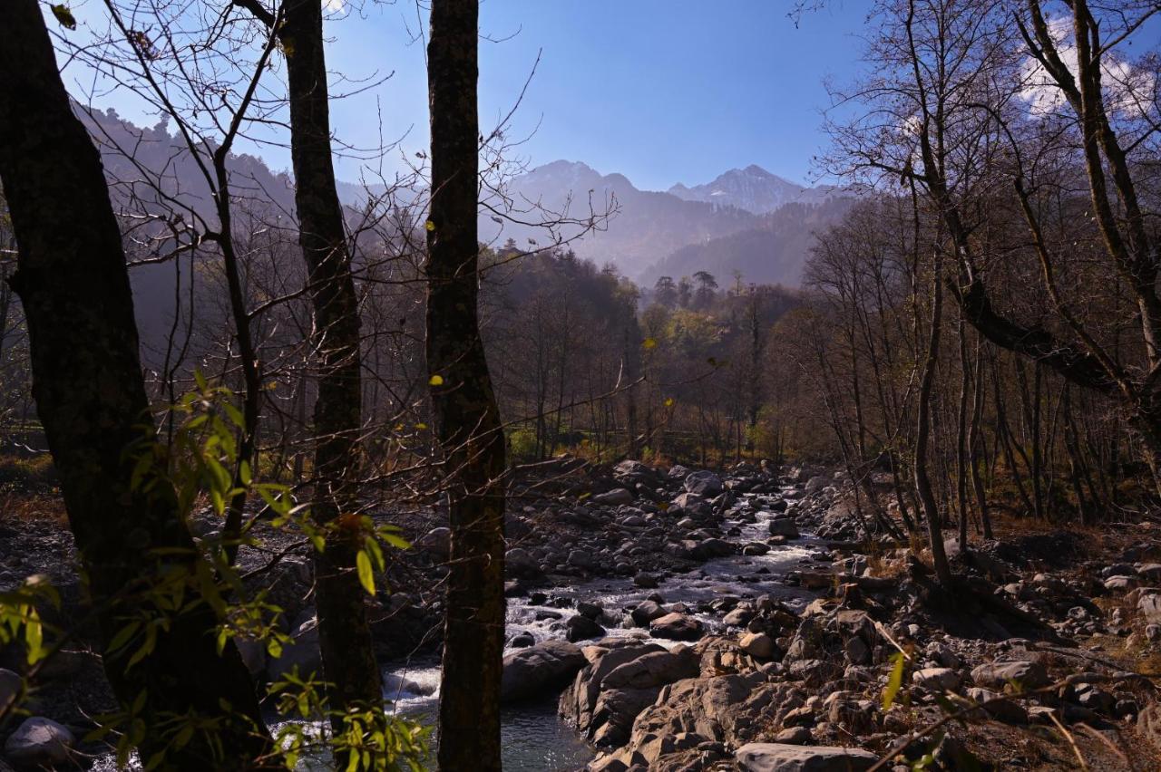 Zostel Dobhi, Manali Hostel Nagar  Kültér fotó