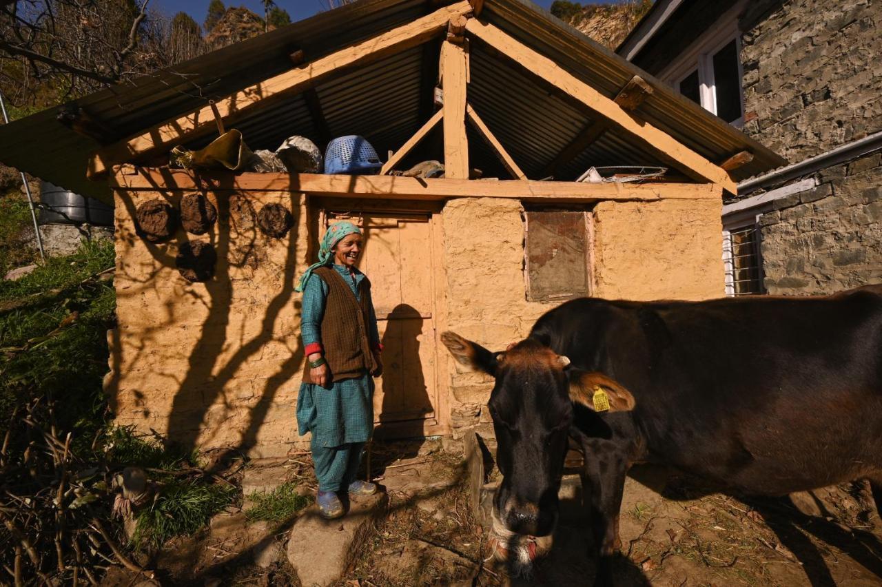 Zostel Dobhi, Manali Hostel Nagar  Kültér fotó