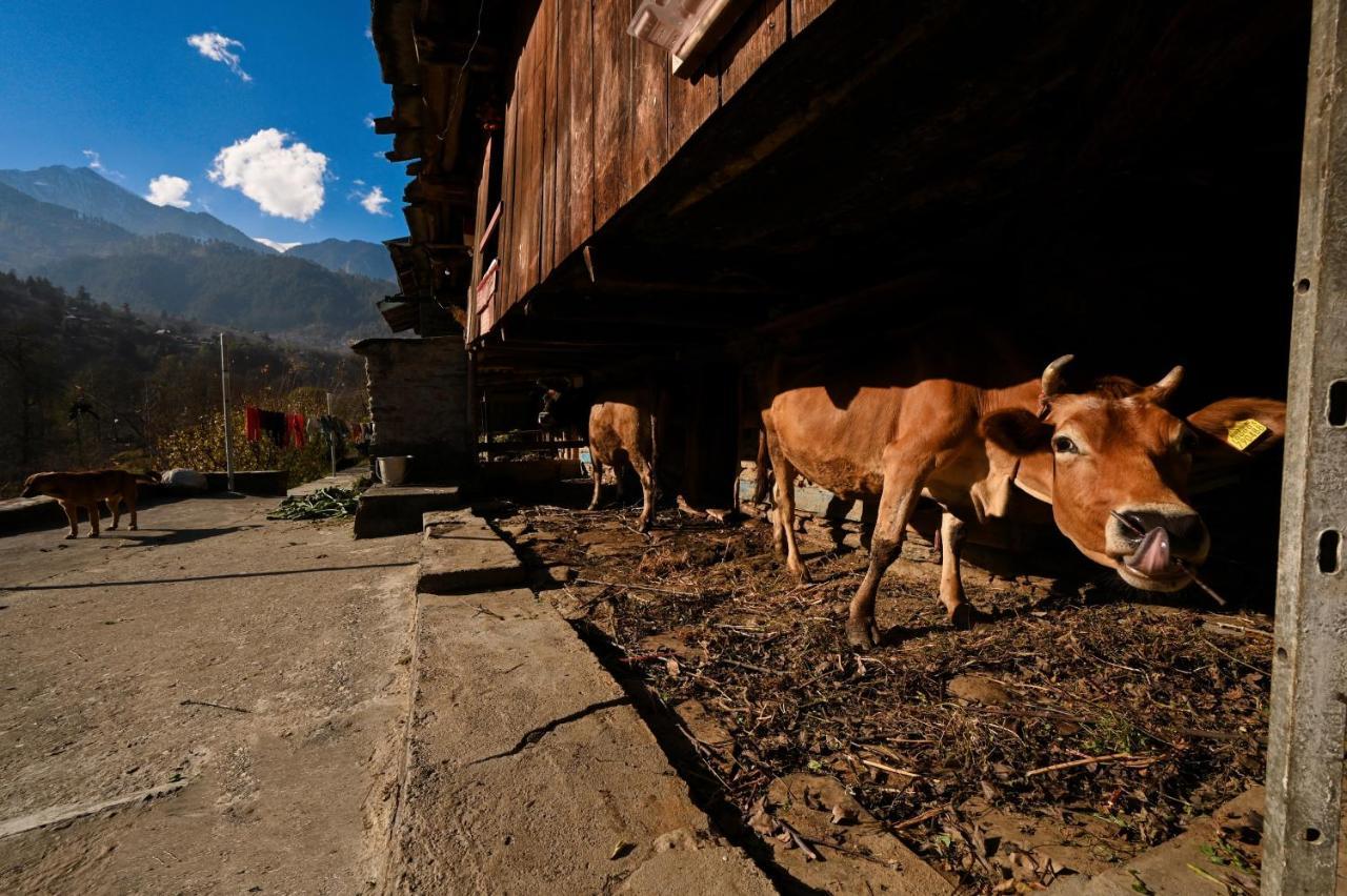 Zostel Dobhi, Manali Hostel Nagar  Kültér fotó