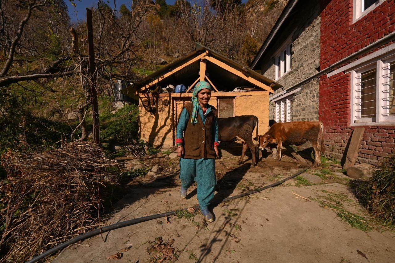 Zostel Dobhi, Manali Hostel Nagar  Kültér fotó