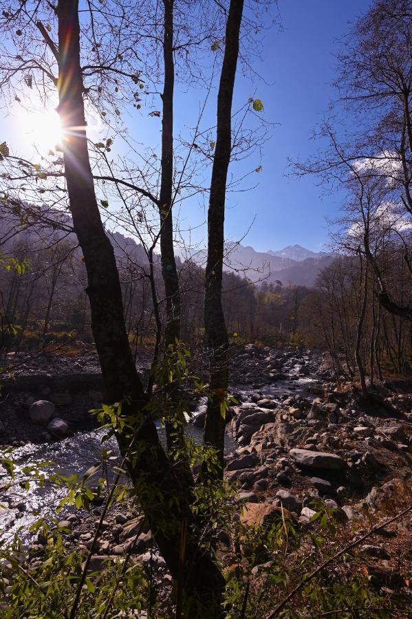 Zostel Dobhi, Manali Hostel Nagar  Kültér fotó