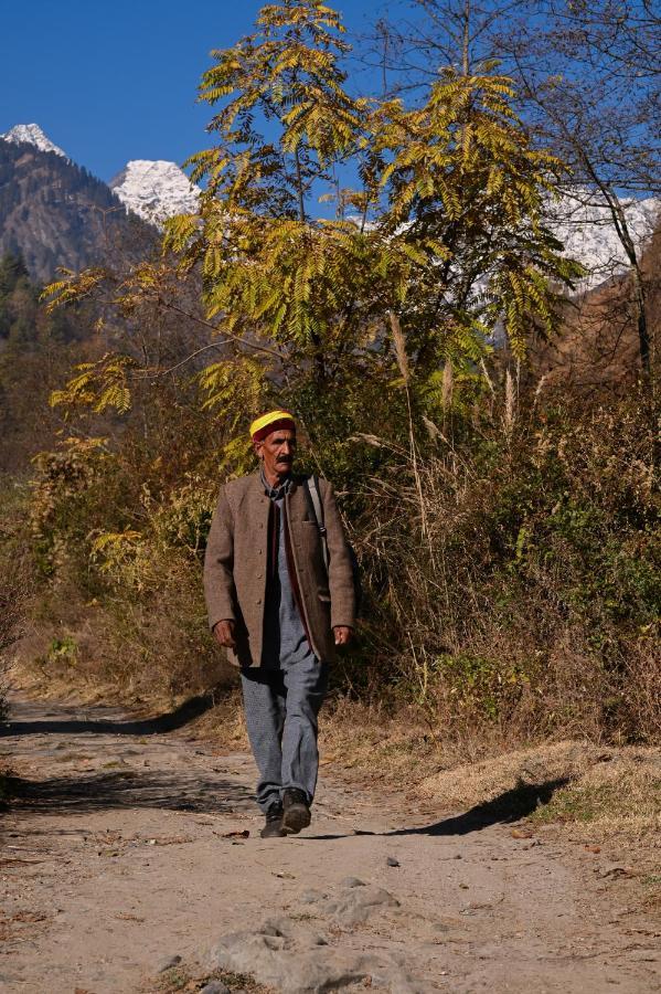 Zostel Dobhi, Manali Hostel Nagar  Kültér fotó